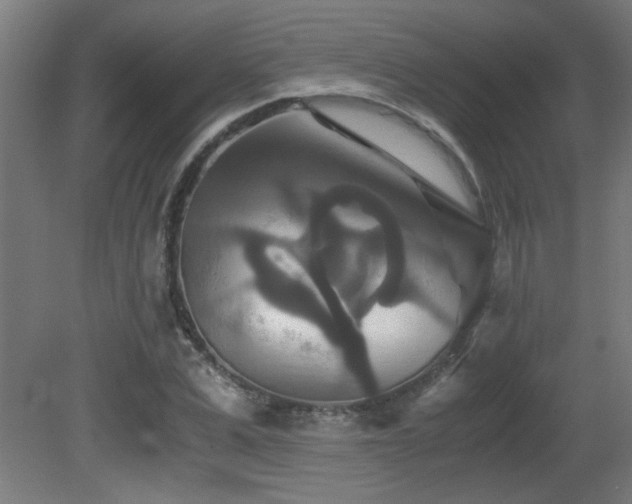 X0000081370975200701111543