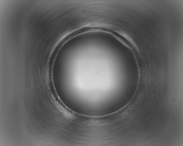 X0000081370976200701111543