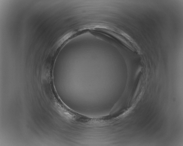 X0000081370977200701111543