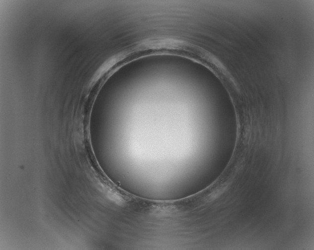 X0000081370978200701111543