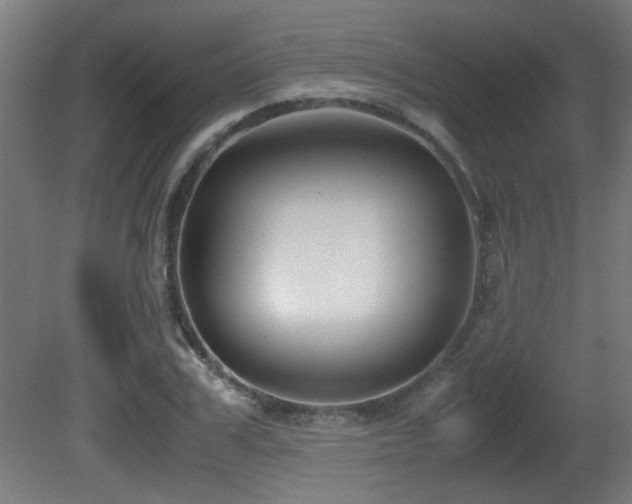 X0000081370979200701111543