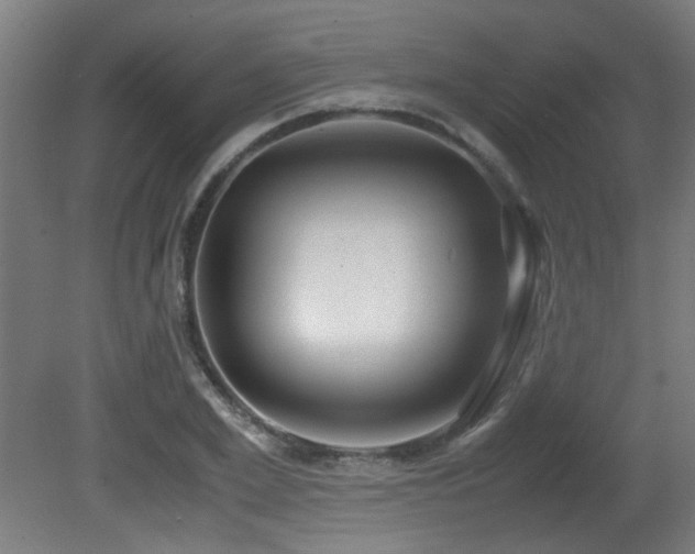X0000081370981200701111543