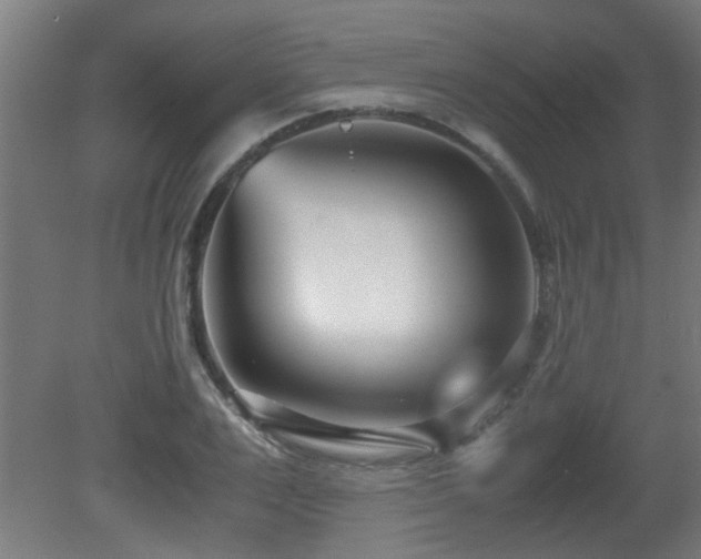 X0000081370983200701111543
