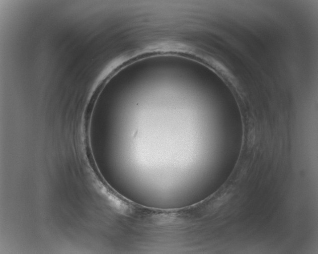 X0000081370990200701111543
