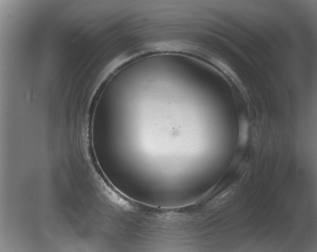 X0000081370992200701111543
