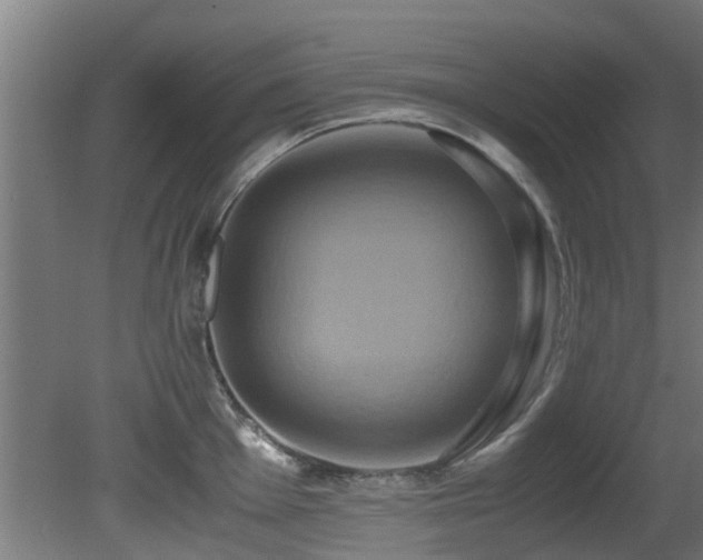 X0000081371001200701111543