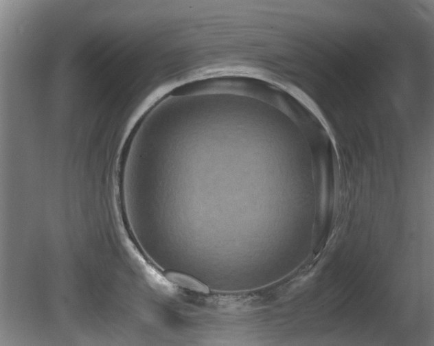 X0000081371005200701111543