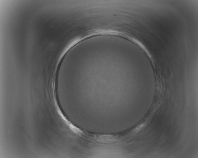X0000081371007200701111543