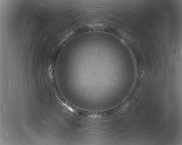 X0000081371010200701111542