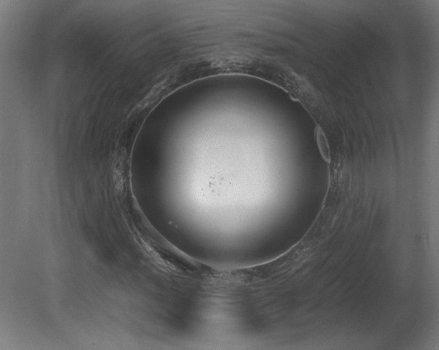X0000081371012200701111542