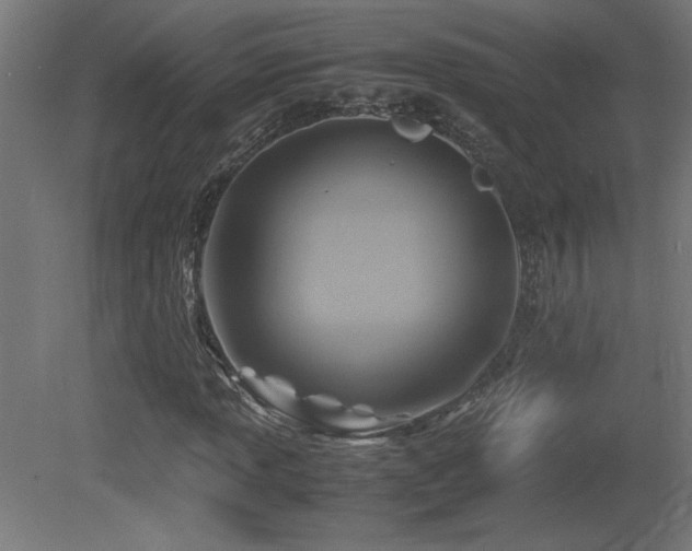 X0000081371013200701111542