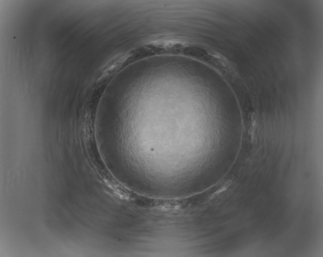 X0000081371014200701111542