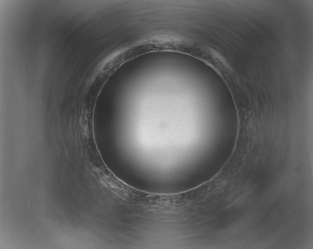 X0000081371016200701111542