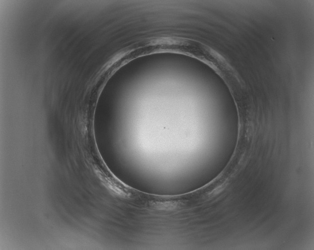 X0000081371017200701111542