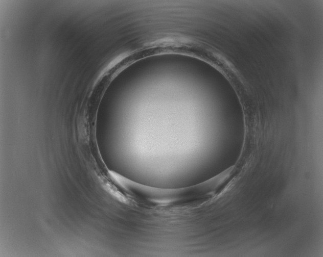 X0000081371018200701111542