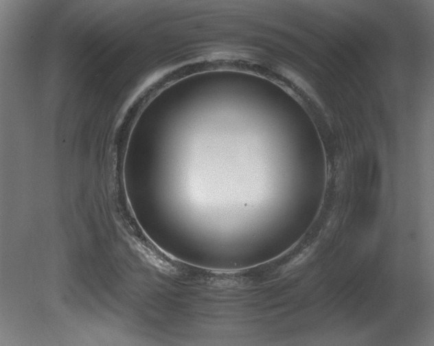 X0000081371021200701111542