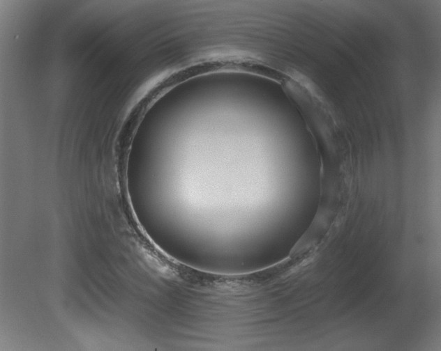 X0000081371022200701111542