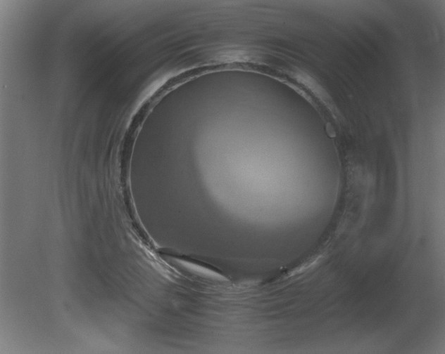 X0000081371023200701111542
