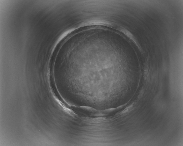 X0000081371024200701111542