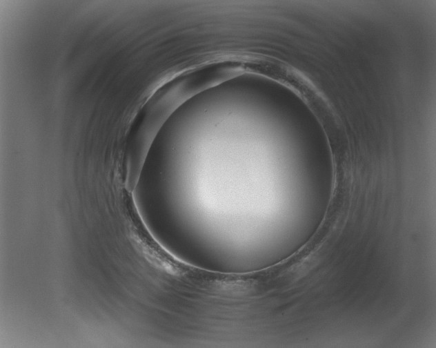 X0000081371025200701111542