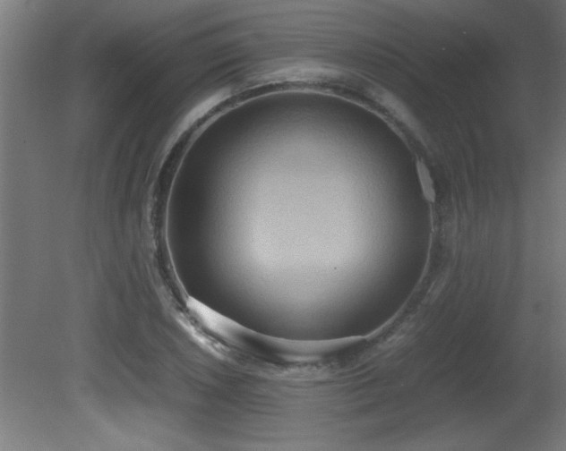 X0000081371026200701111542