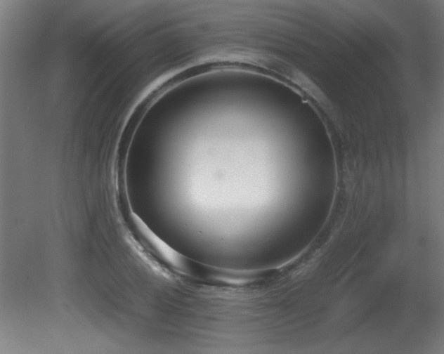 X0000081371028200701111542