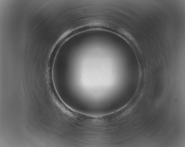 X0000081371029200701111542