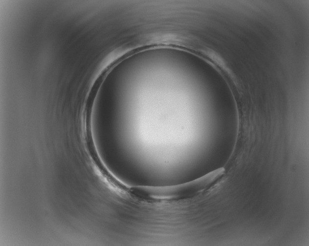X0000081371032200701111542