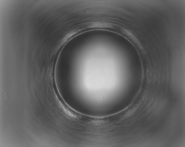 X0000081371033200701111542
