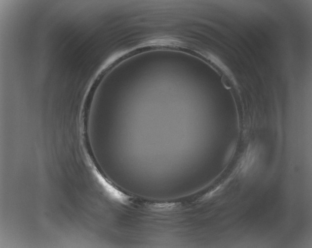 X0000081371037200701111542