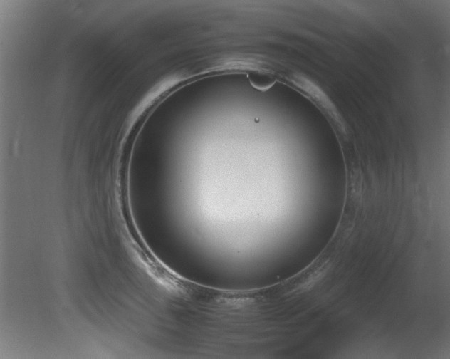 X0000081371043200701111542