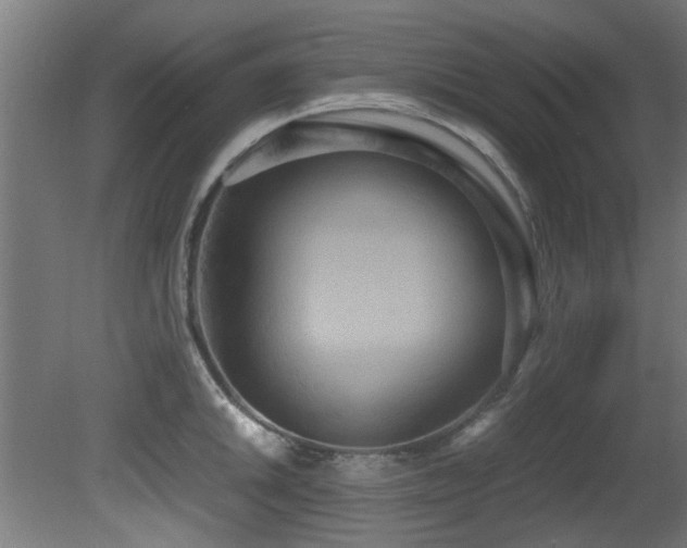 X0000081371046200701111543