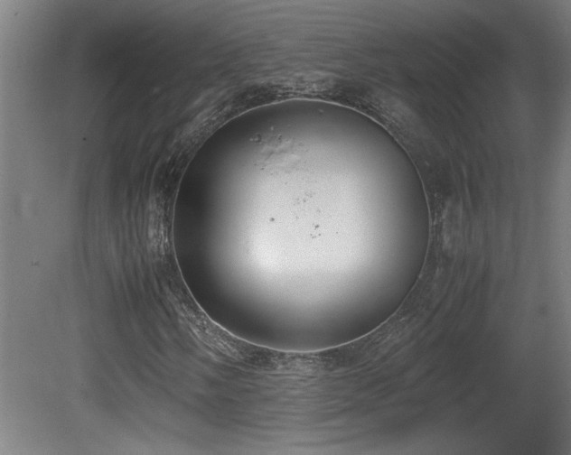 X0000081371058200701111542