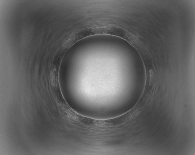 X0000081371059200701111542