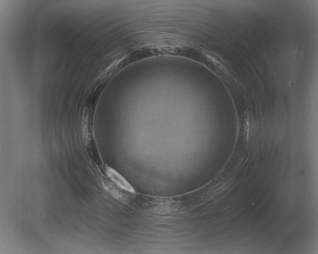 X0000081371060200701111542