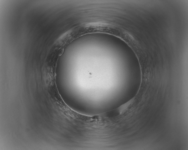 X0000081371062200701111542