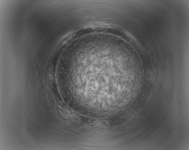 X0000081371063200701111542
