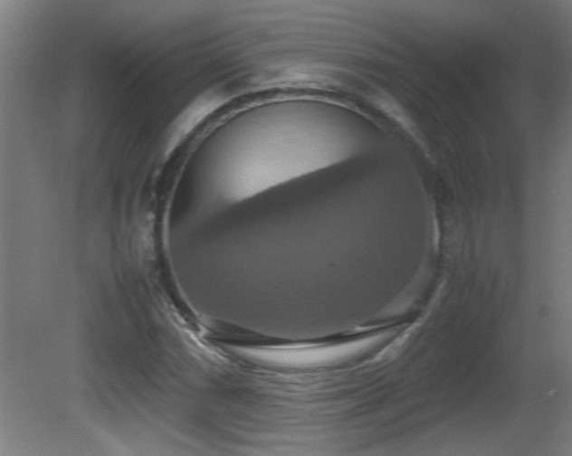 X0000081371066200701111542