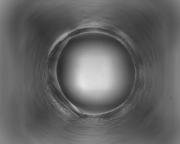 X0000081371069200701111542
