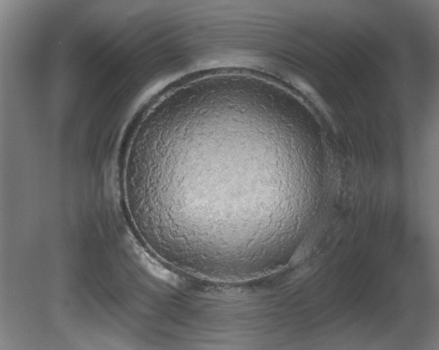 X0000081371072200701111542