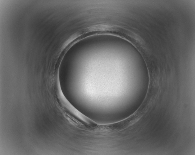 X0000081371073200701111542