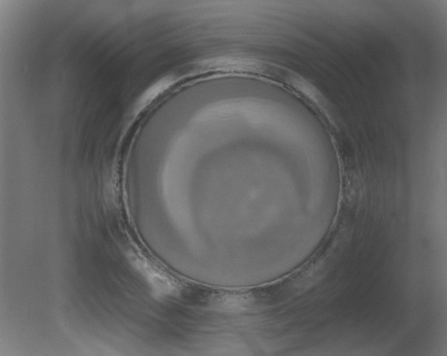 X0000081371074200701111542