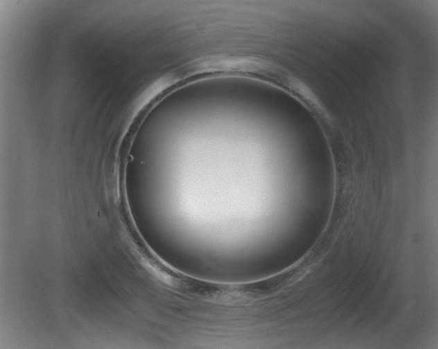 X0000081371079200701111541