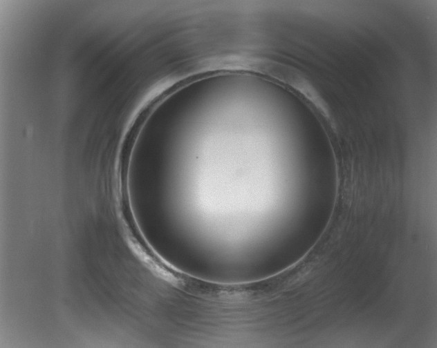 X0000081371080200701111541