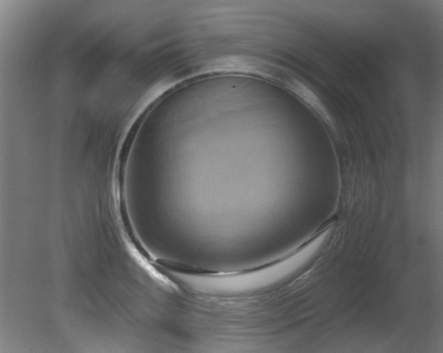 X0000081371084200701111541