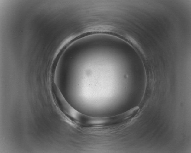 X0000081371085200701111541