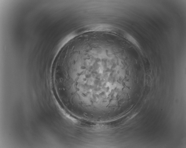 X0000081371087200701111541