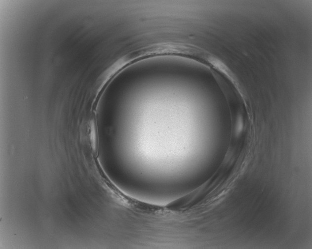 X0000081371089200701111541