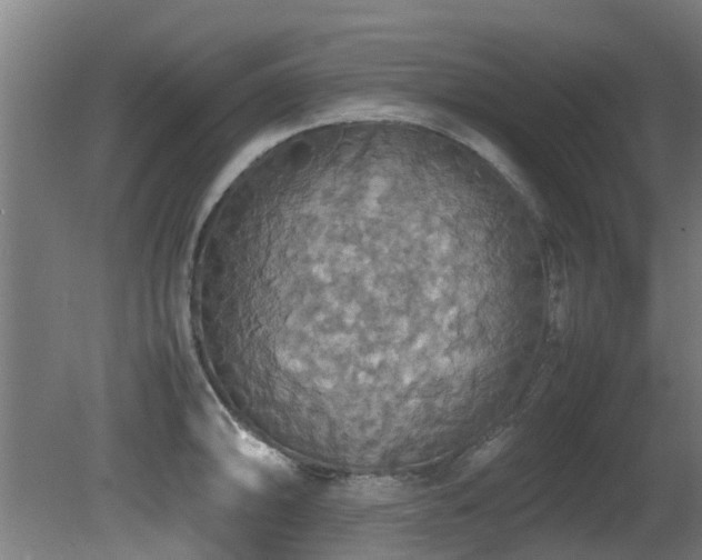 X0000081371094200701111541