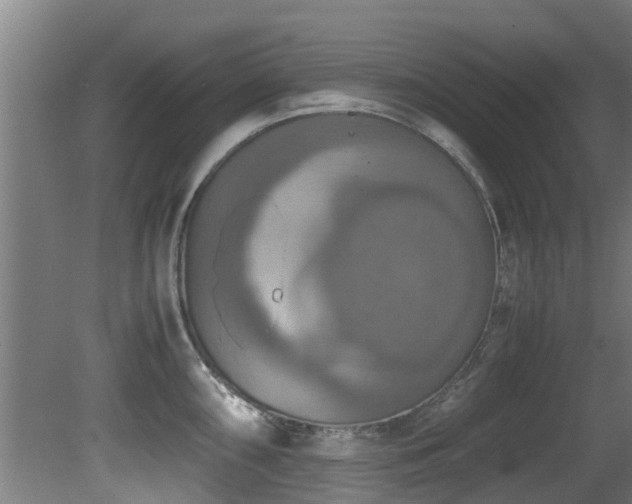 X0000081371098200701111541